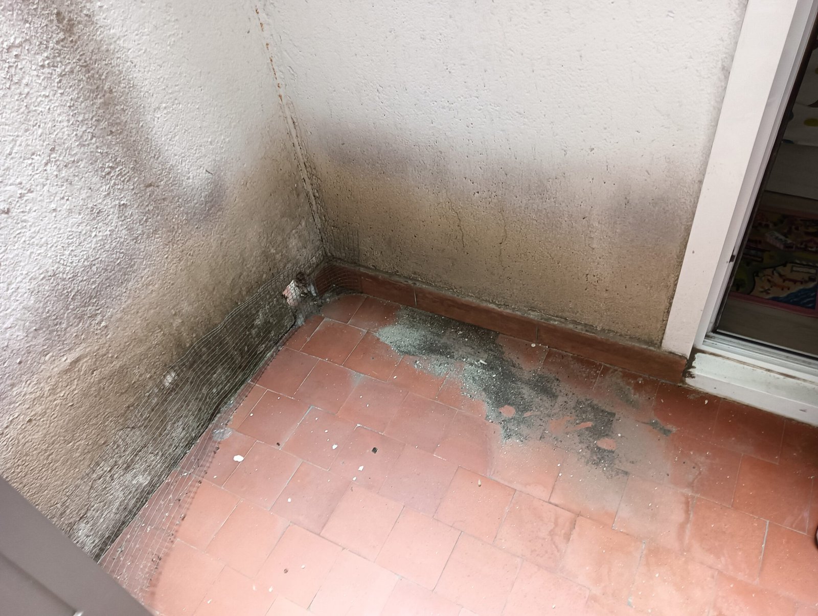 Piso y paredes deterioradas